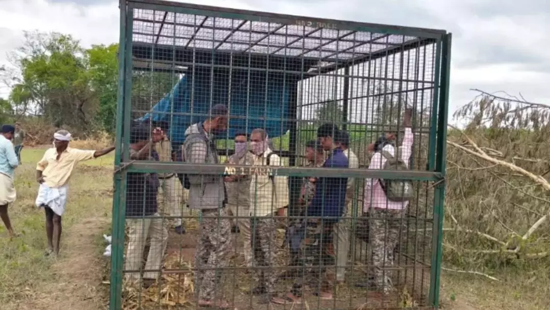 https://salarnews.in/public/uploads/images/newsimages/maannewsimage09092025_213358_Karnataka Village Tiger Cage Incident.webp